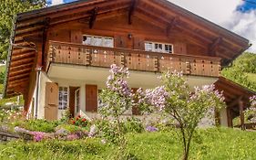 Holiday Home Chalet Reinhysi